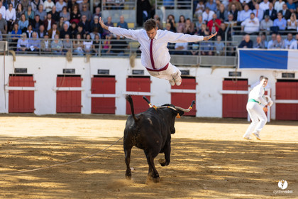 Nogaro Championnat de France de course landaise 2022