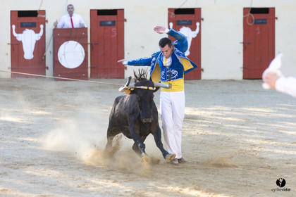 Course landaise