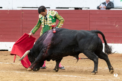 Corrida d'Aire sur l'Adour