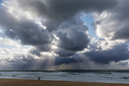 Paysages des Landes