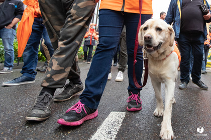 Manifestation chasses traditionnelles à Mont-de-Marsan