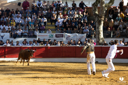 Nogaro Championnat de France de course landaise 2022