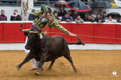 Nogaro Championnatde France de Course Landaise 2017