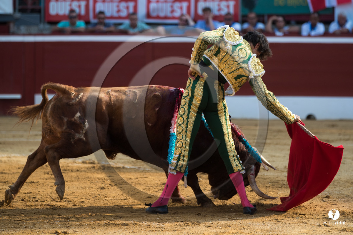 Mont-de-Marsan corrida de Jandilla pour Padilla - Talavante - Roca Rey