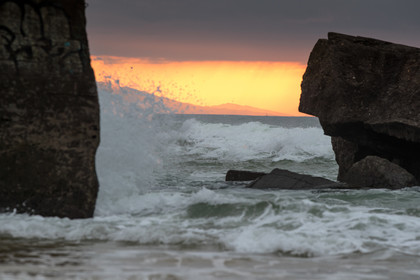 Paysages des Landes