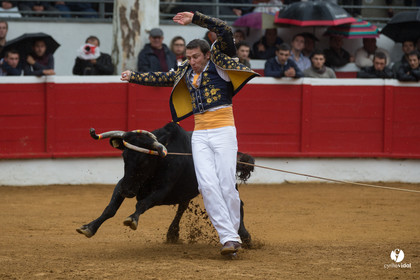 Nogaro Championnatde France de Course Landaise 2017