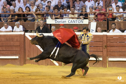 Corrida de Villeneuve-de-Marsan