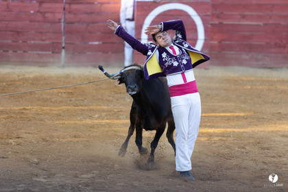 Course landaise à Panjas