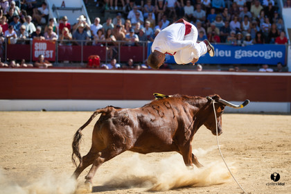 Mont-de-Marsan championnat de France de course landaise 2019