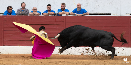 Corrida d'Aire sur l'Adour