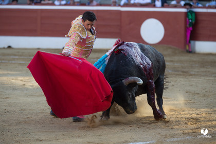 Mont-de-Marsan corrida d'Adolfo Martin