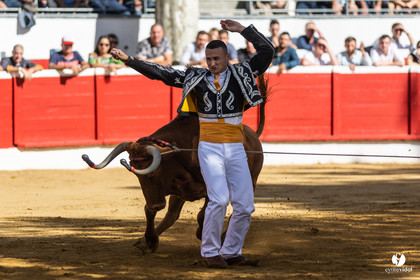 Nogaro Championnat de France de course landaise 2022