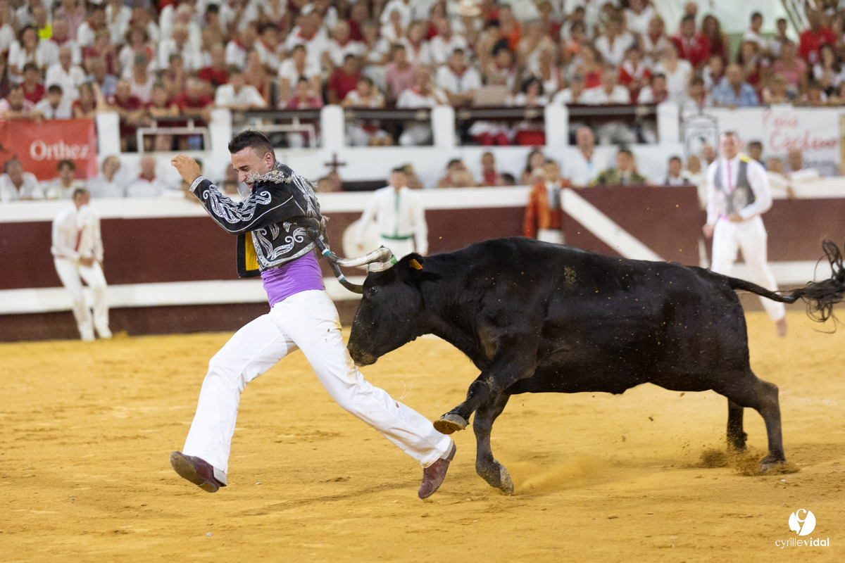 Dax concours landais 2022