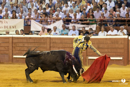 Corrida de Villeneuve-de-Marsan