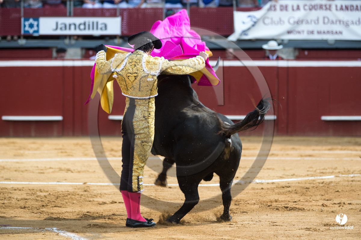 Mont-de-Marsan corrida de Jandilla pour Padilla - Talavante - Roca Rey