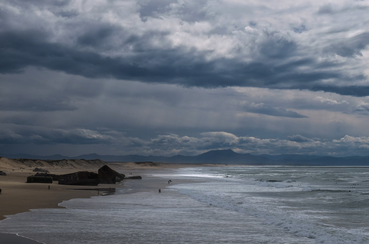 Paysages des Landes