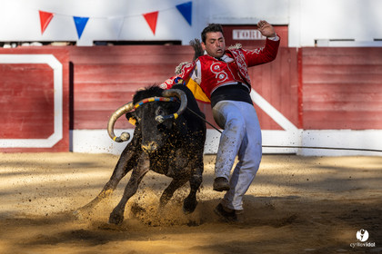 Aire-sur-l'Adour Championnat de France de course landaise 2023