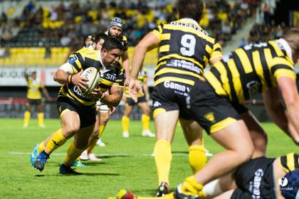 Rugby Stade Montois - Massy