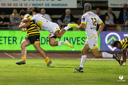 Stade Montois Rugby - Carcassonne