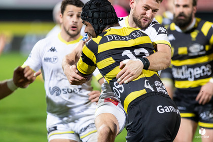 Stade Montois Rugby - Carcassonne