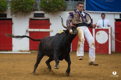 Nogaro Championnatde France de Course Landaise 2017