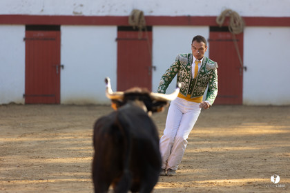Course landaise à Panjas
