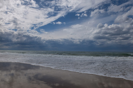 Paysages des Landes