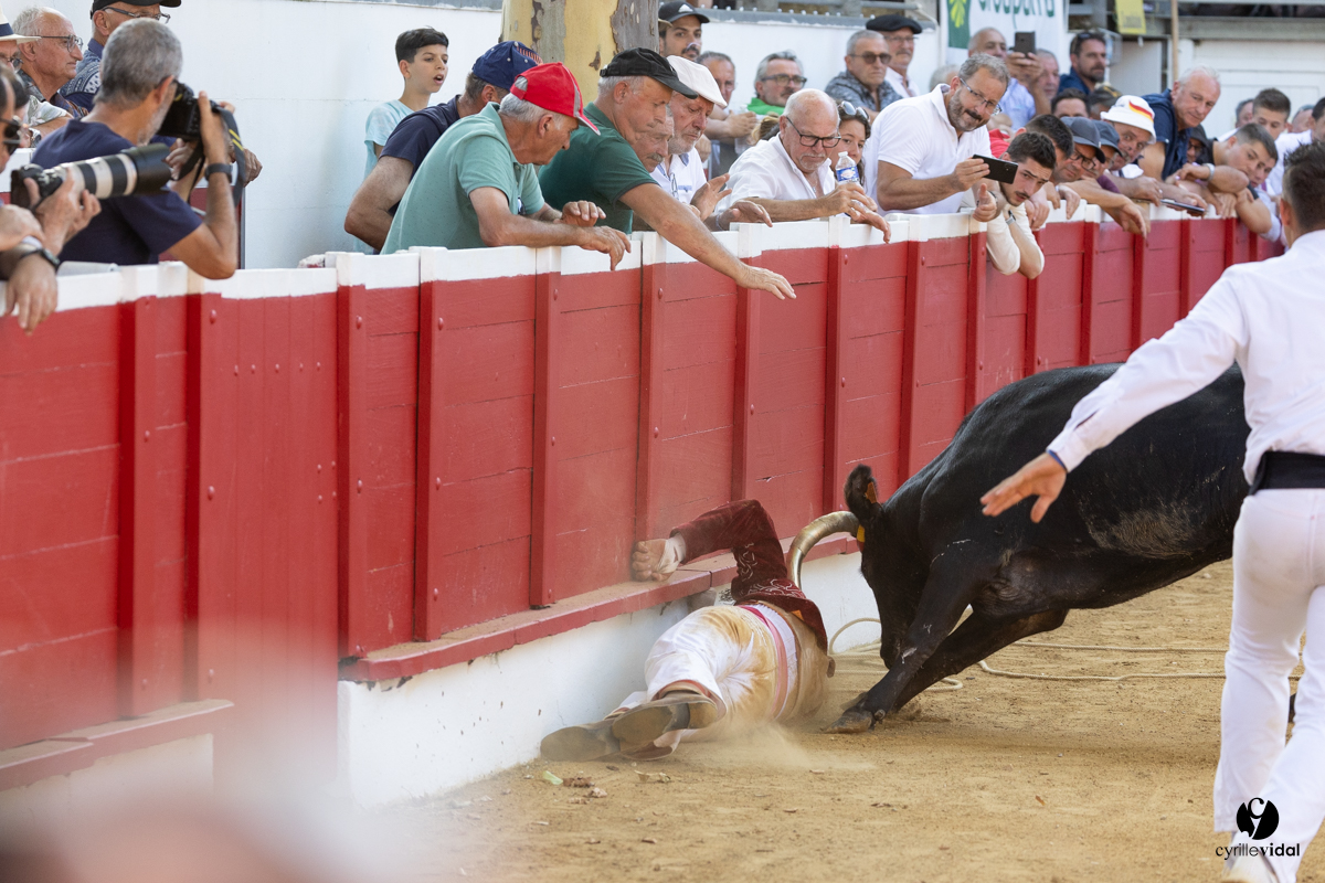 Nogaro Corne d'Or 2023