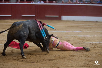 Mont-de-Marsan corrida d'Adolfo Martin