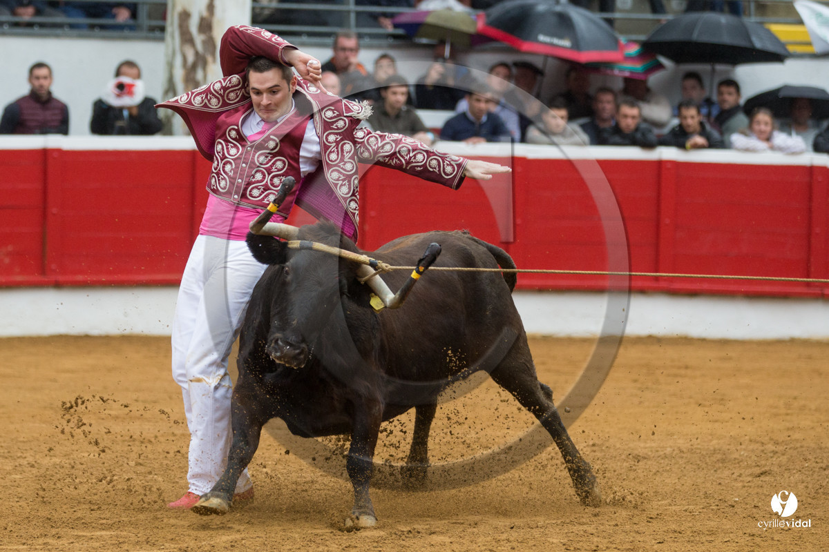 Nogaro Championnatde France de Course Landaise 2017