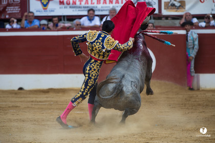Mont-de-Marsan corrida d'Adolfo Martin