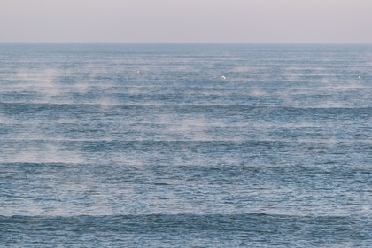 Paysages des Landes