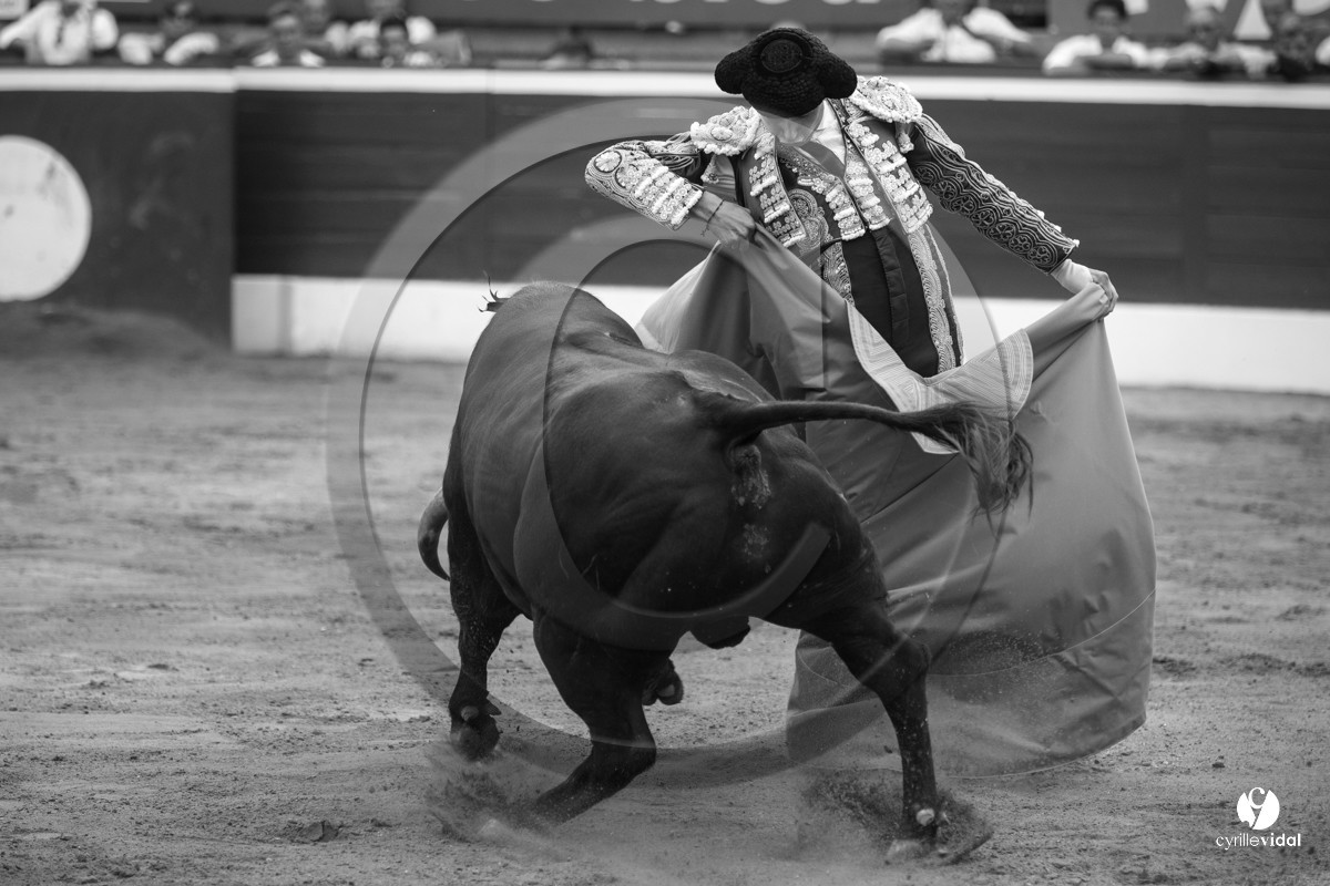 Mont-de-Marsan corrida de Jandilla pour Padilla - Talavante - Roca Rey