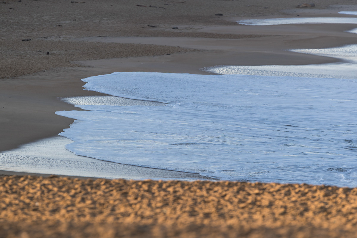 Paysages des Landes