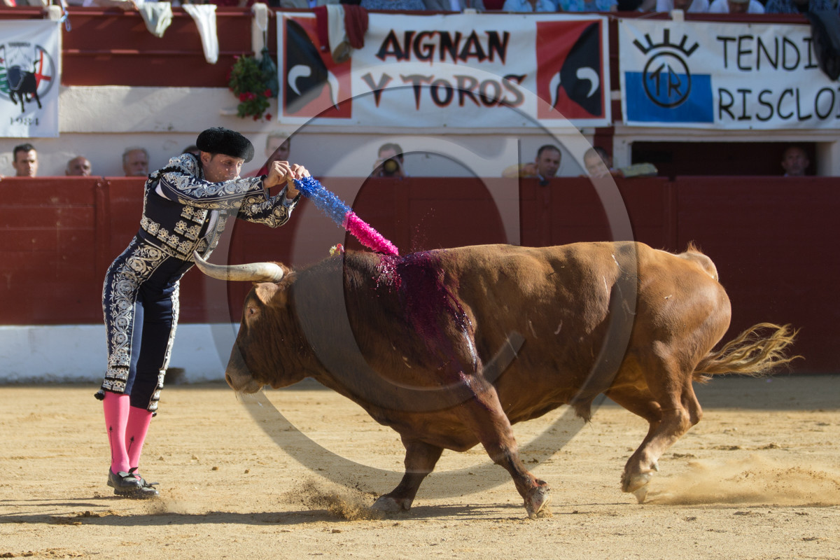 corrida, toro, vic fezensac, alcurrucen, michelito, morenito de aranda
