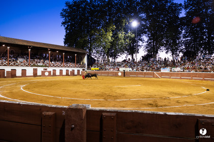 2023-08-08-2080.jpg