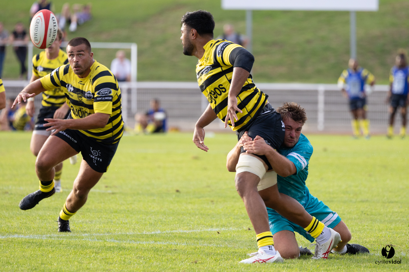 Dax - Stade Montois Rugby