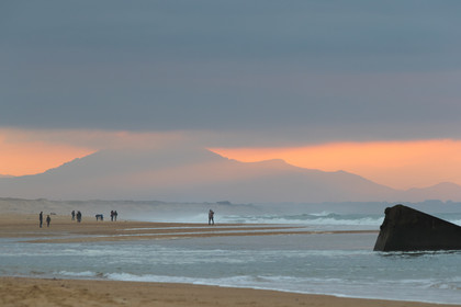 Paysages des Landes