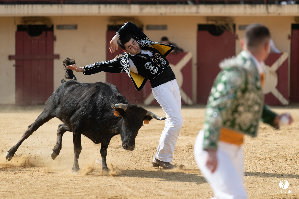 Course landaise Le Houga Ganadéria Dussau Cuadrilla Alexandre Brethes