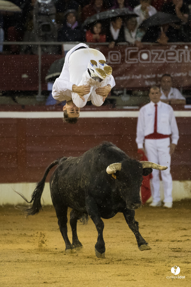 Mont-de-Marsan festival Art et Courage