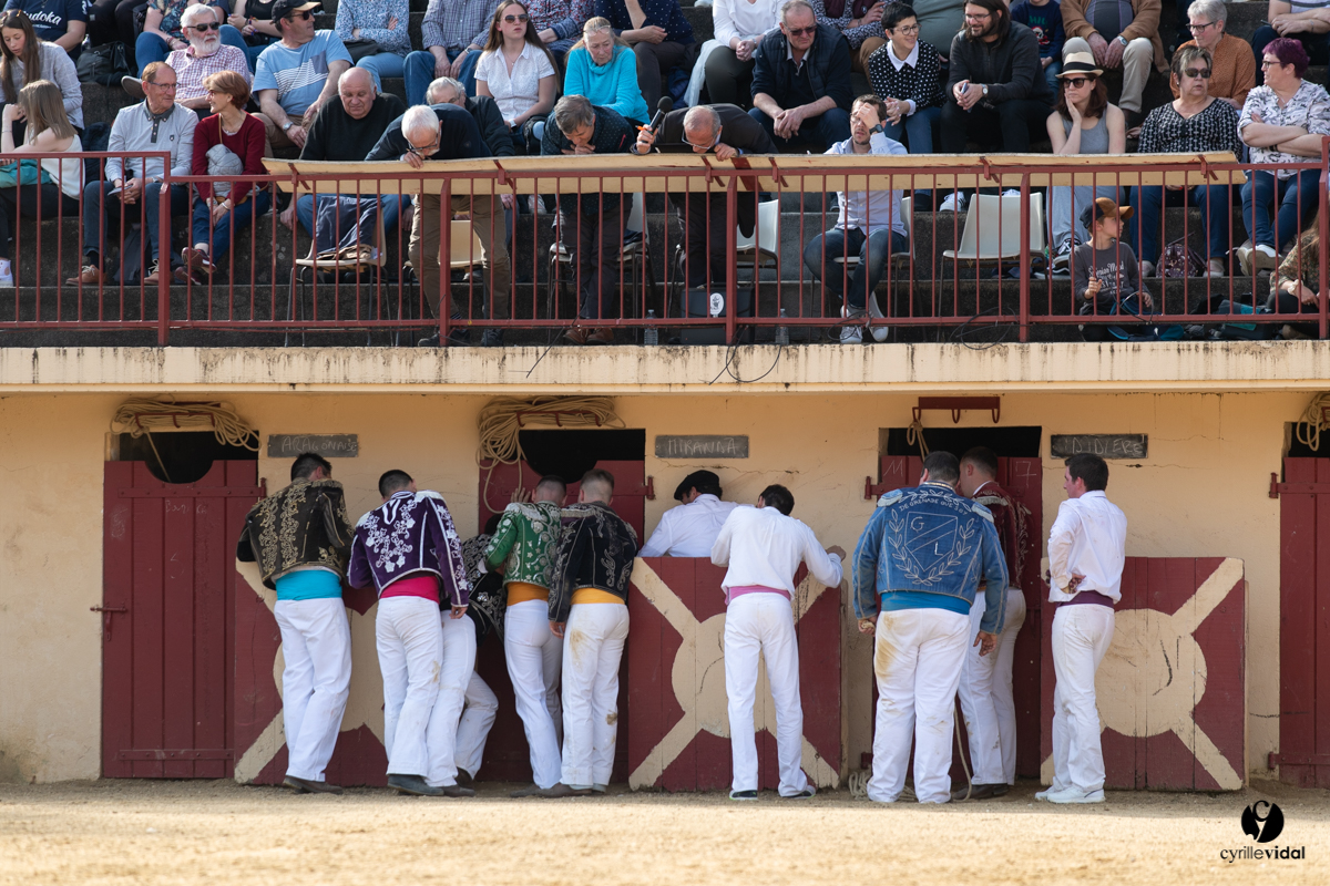 Course landaise Le Houga Ganadéria Dussau Cuadrilla Alexandre Brethes
