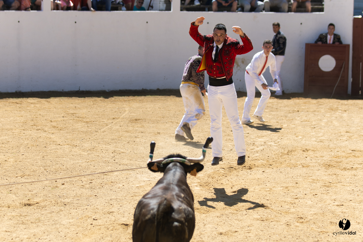 Saint-Cricq Chalosse course landaise de promotion Ganadéria Deyris Cuadrilla Jérémy Lafitte