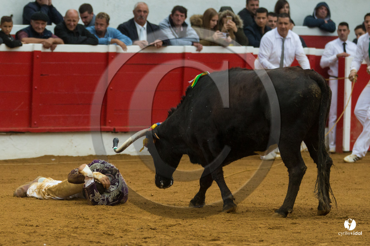 Nogaro Championnatde France de Course Landaise 2017