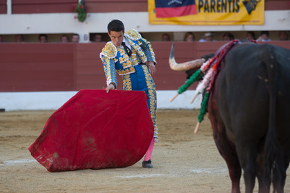 corrida, toro, vic fezensac, alcurrucen, michelito, morenito de aranda