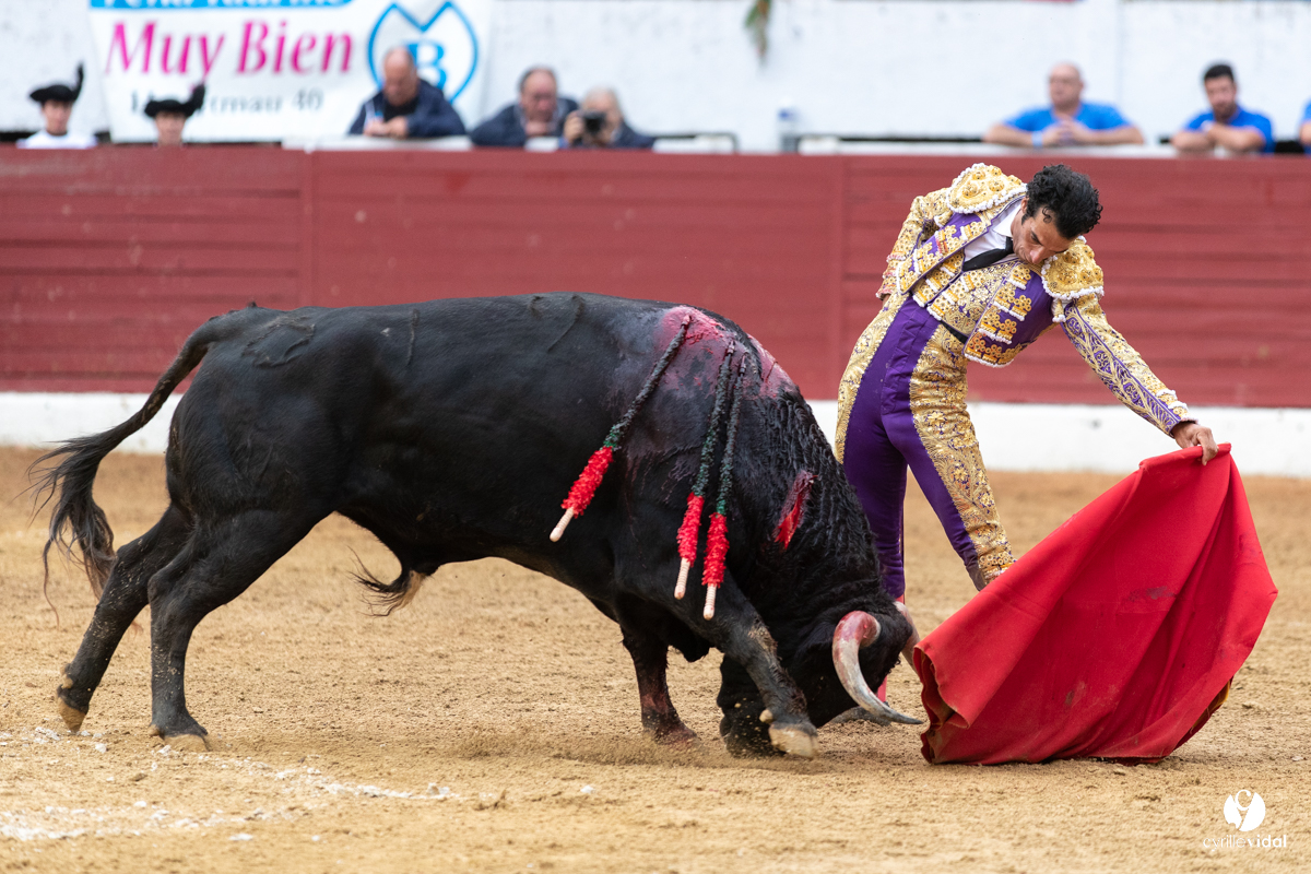 Corrida d'Aire sur l'Adour