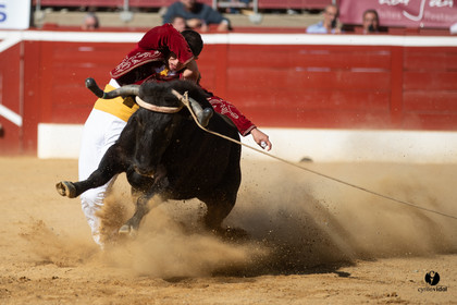 Mont-de-Marsan championnat de France de course landaise 2019