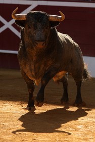 2008-07-22-0217.jpg
