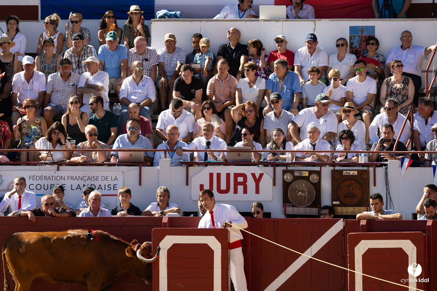 Aire-sur-l'Adour Championnat de France de course landaise 2023