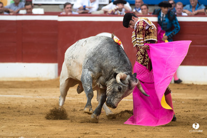 Mont-de-Marsan corrida de la Quinta pour Juan Bautista - Emilio de Justo - Thomas DUFAU
