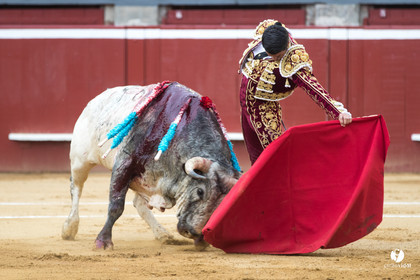 Mont-de-Marsan corrida de la Quinta pour Juan Bautista - Emilio de Justo - Thomas DUFAU